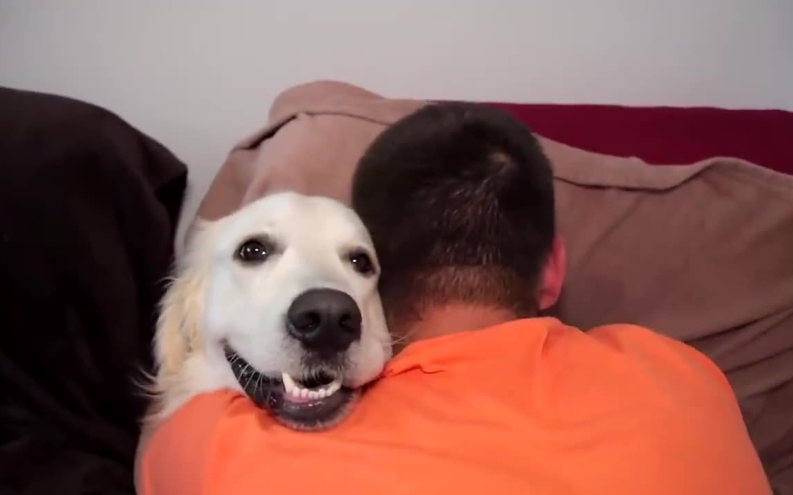 抱着你的狗狗,他们会做什么?