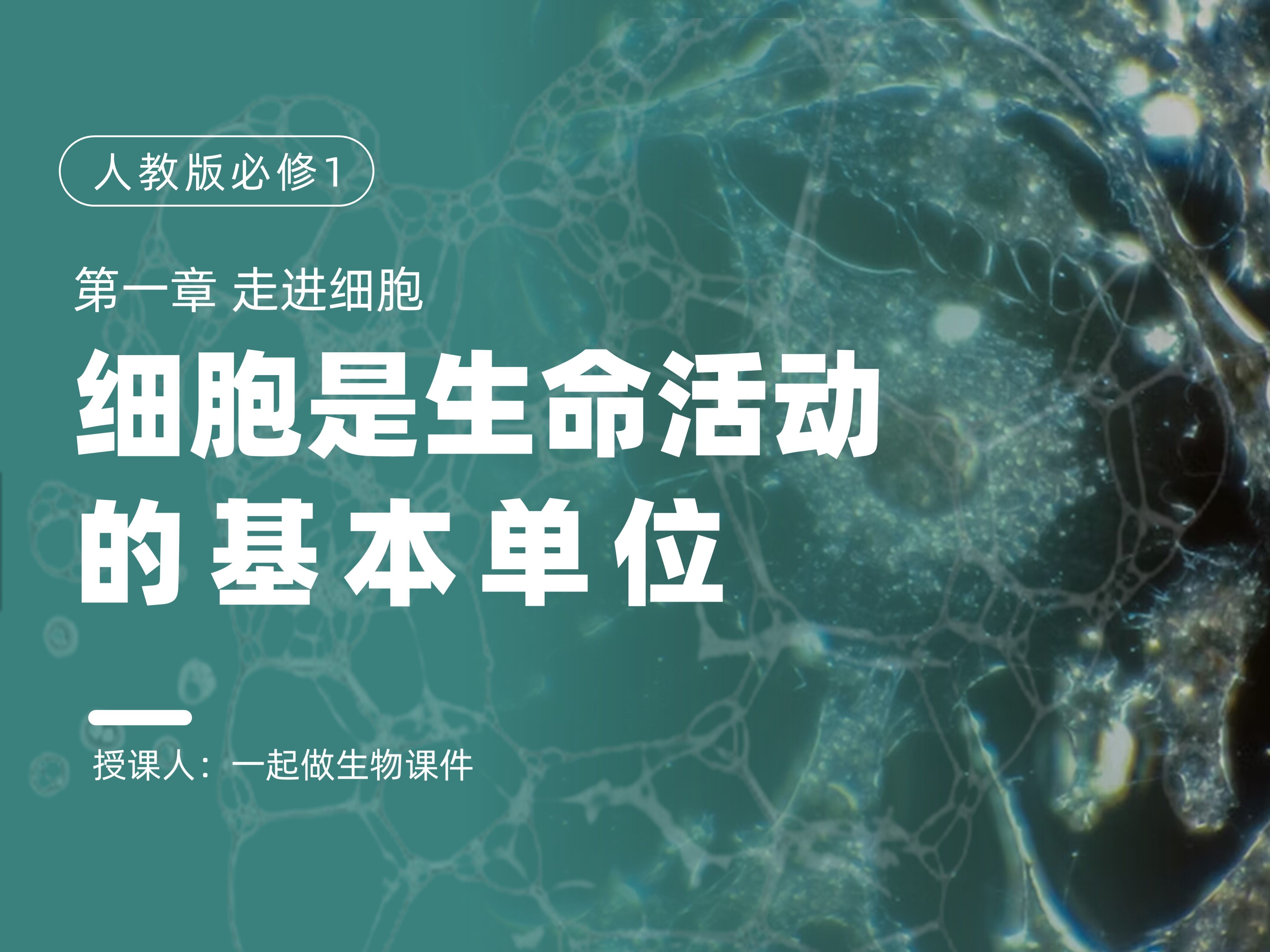 高中生物讲义ppt
第1张 高中生物讲义ppt
第1张