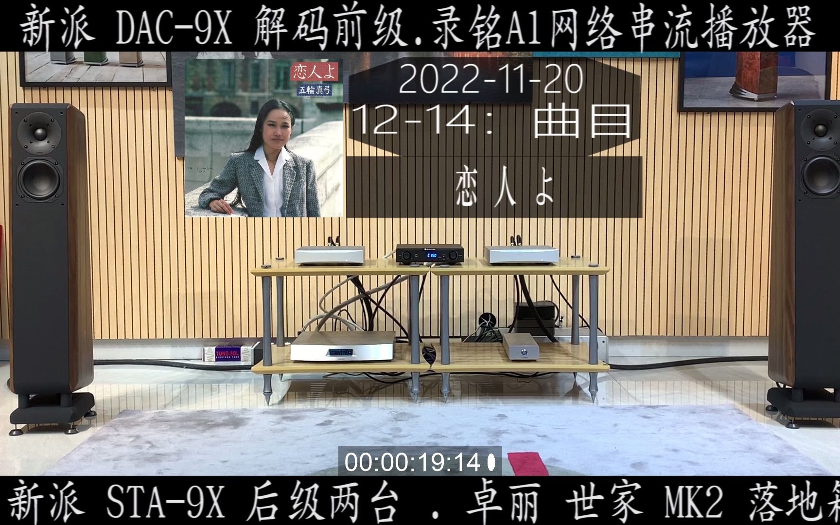 1214 卓丽chario世家MK2落地箱 NuPrime新派 DAC9X 解码前级 STA9X后级哔哩哔哩bilibili