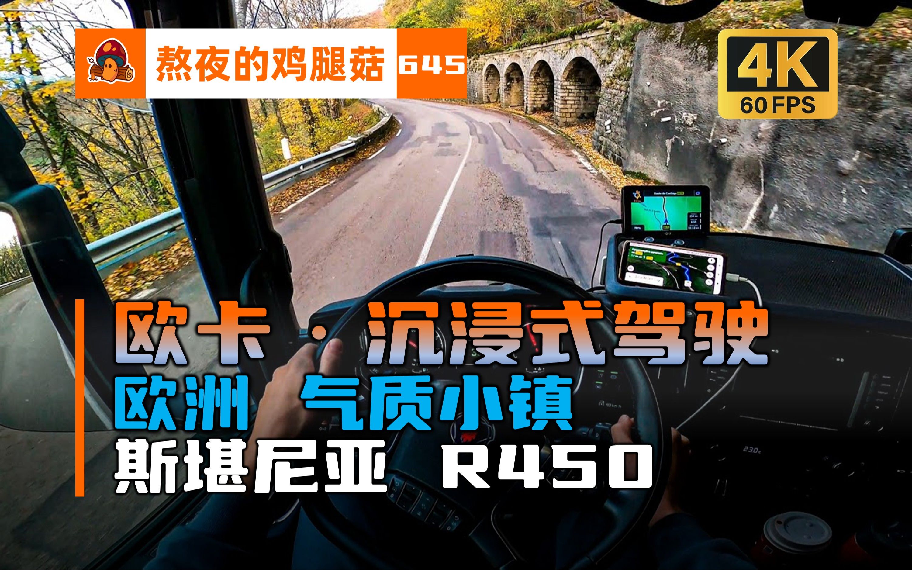 在歐洲某國小鎮的道路上行駛 scania 解壓 助眠 pov ets2 電子榨菜