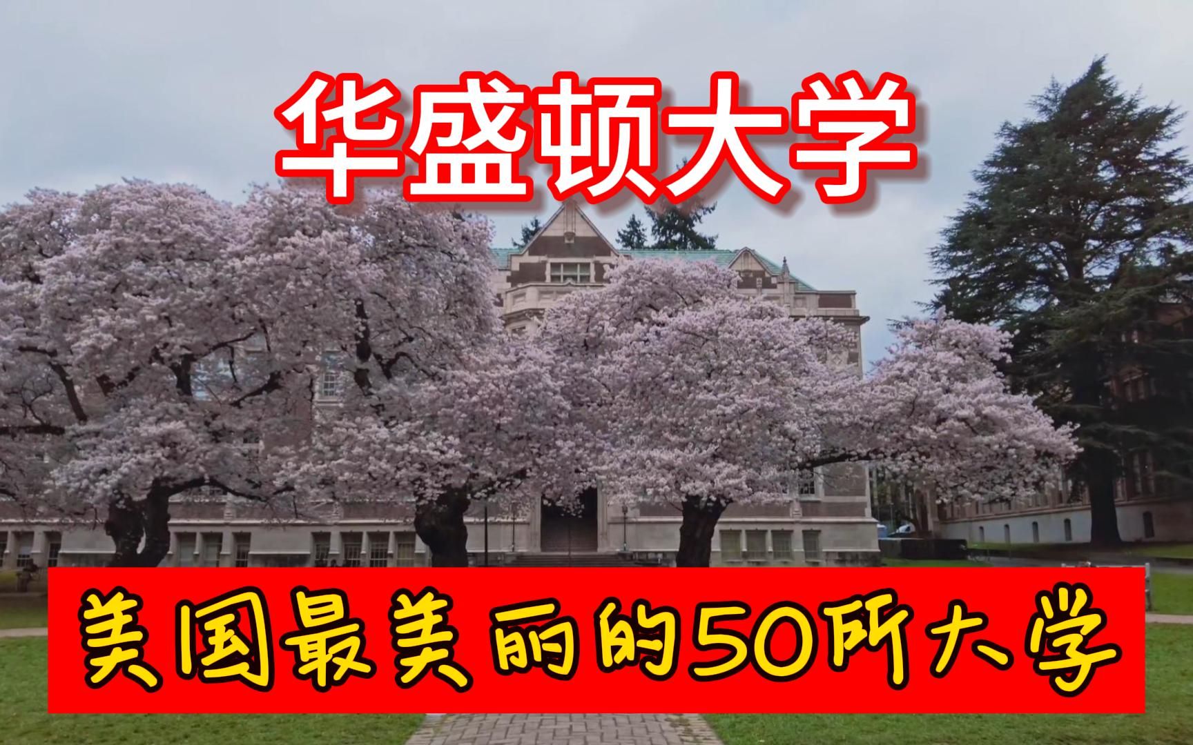 [图]美国最美丽的50所大学 19（华盛顿大学）