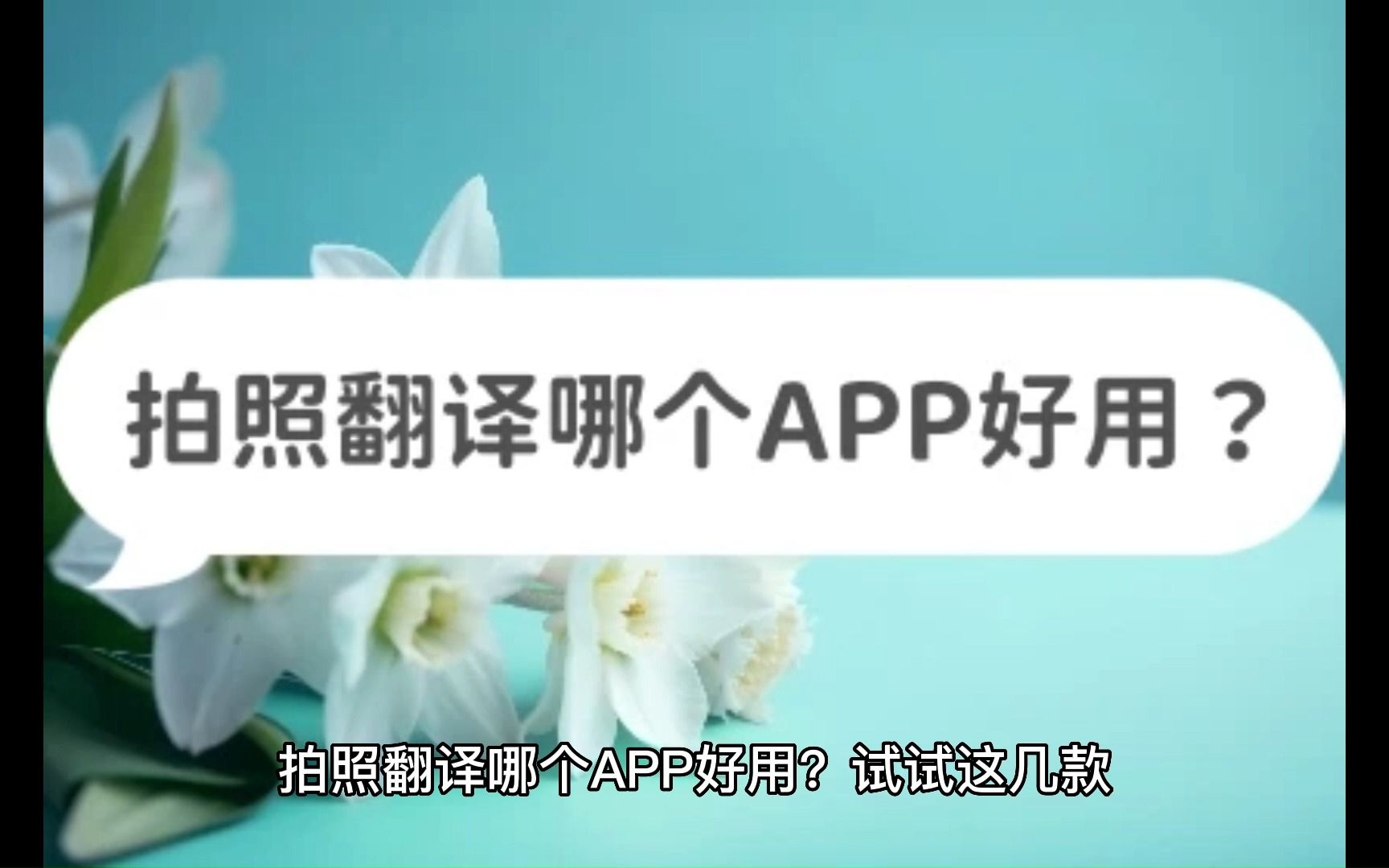 拍照翻译哪个APP好用?试试这几款哔哩哔哩bilibili