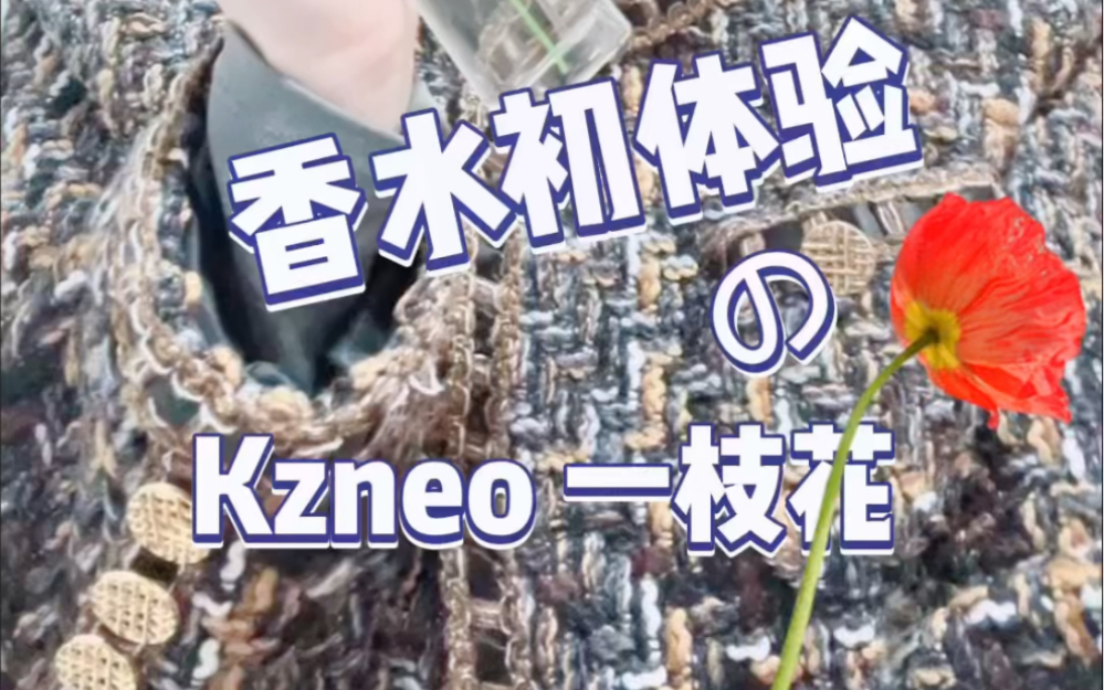 香水初体验之 kenzo 一枝花哔哩哔哩bilibili