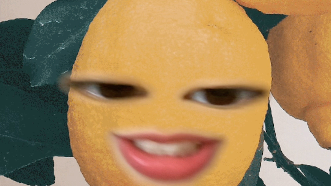 关于我好不容易找到柠檬头特效却不会变声这件事