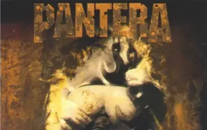 【Pantera】录音棚专辑合集