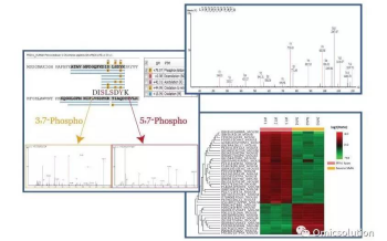 BSI Workshop:基于质谱的蛋白质药物定性定量分析技术及应用培训哔哩哔哩bilibili