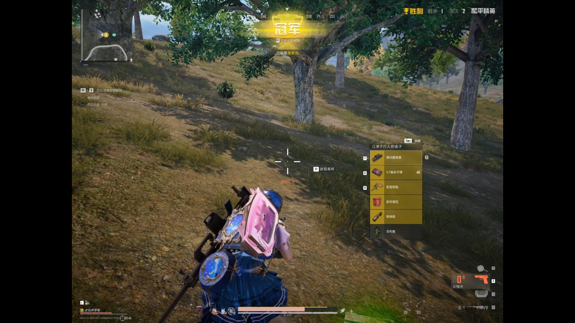 单人四排成功吃鸡!