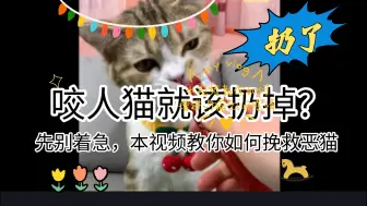 Download Video: 咬人的猫就该打死扔掉？先别着急动手，4个技巧5分钟，免费白嫖增进与猫之间感情方法。虽然不会达到天生性格好程度，但能最大限度缓解