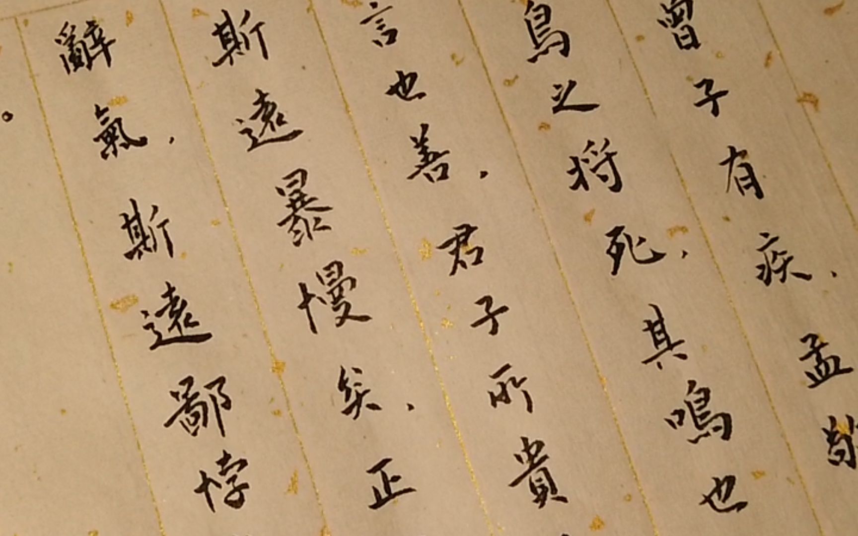 小楷 论语·泰伯(4)-弘扬传统文化-毛笔书法艺术欣赏