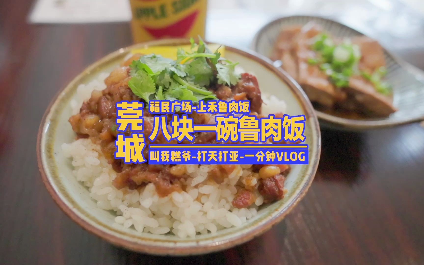 在东莞莞城,这碗8块的鲁肉饭,你吃过吗?哔哩哔哩bilibili