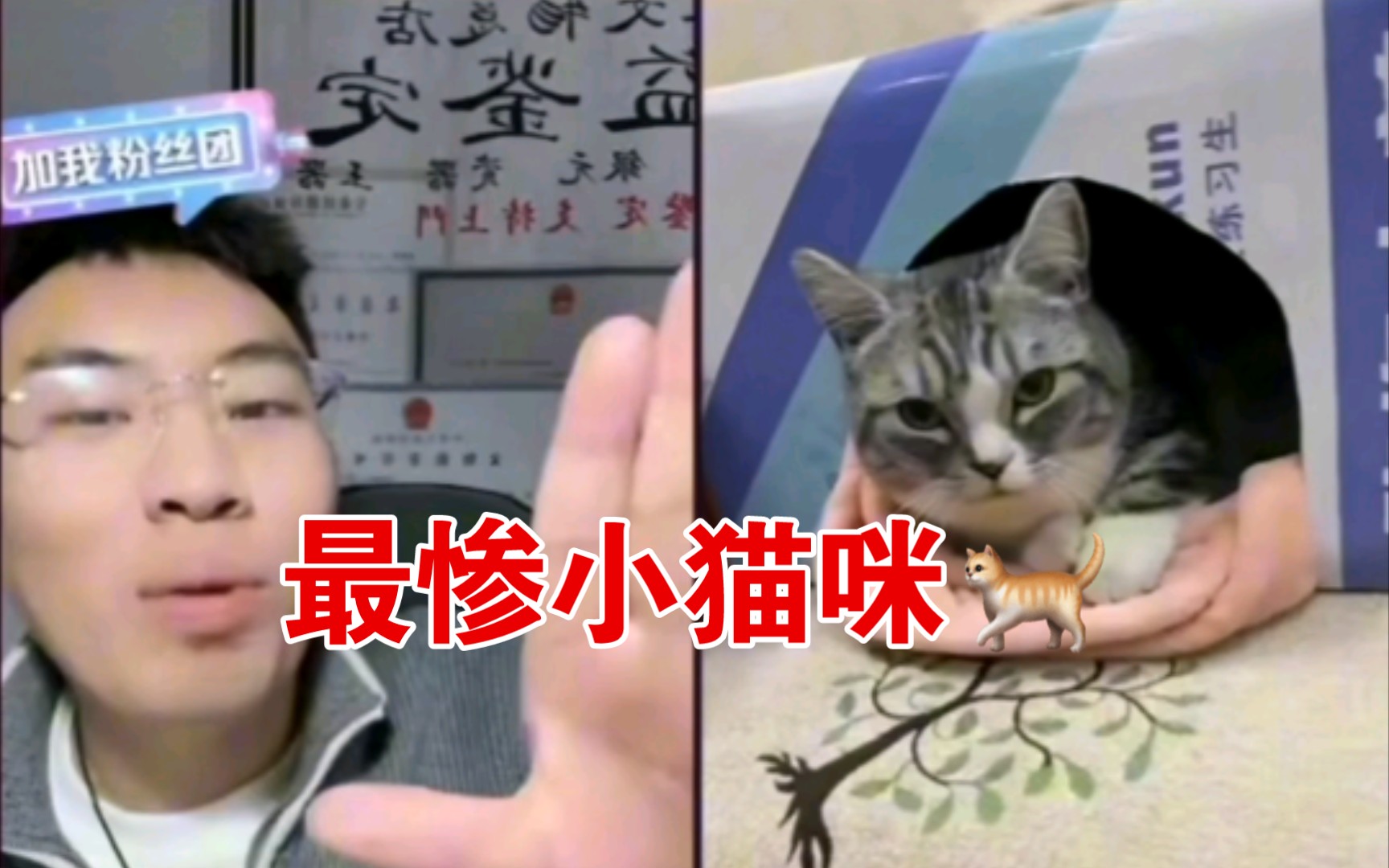 [图]猫猫抑郁了，好好的孤睾战士变成了无🐔之谈！