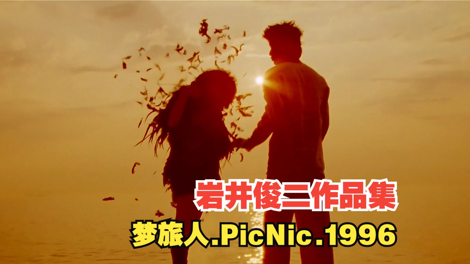 [图]【岩井俊二作品集】罪孽的深渊的正常人~ 梦旅人.PicNic.1996