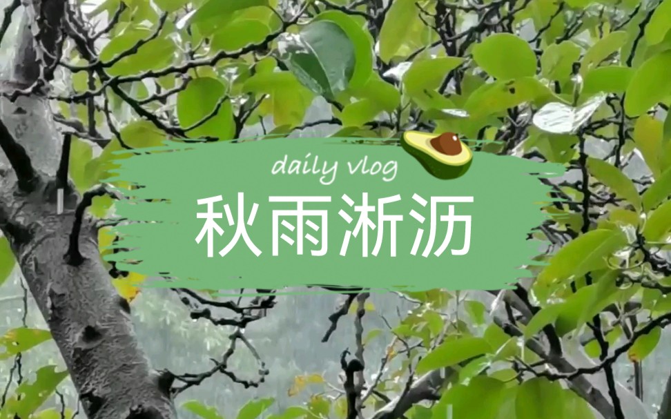 【蝶恋花】秋雨吟 文/黔中阳子哔哩哔哩bilibili