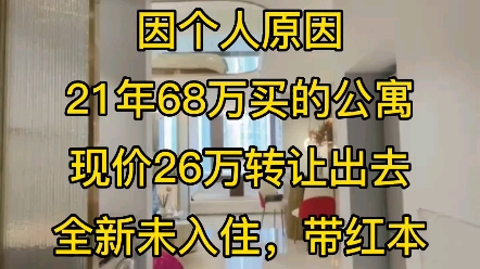 因个人原因转让公寓,现价26万,首付5万,月供2000,全新未入住,现楼哔哩哔哩bilibili