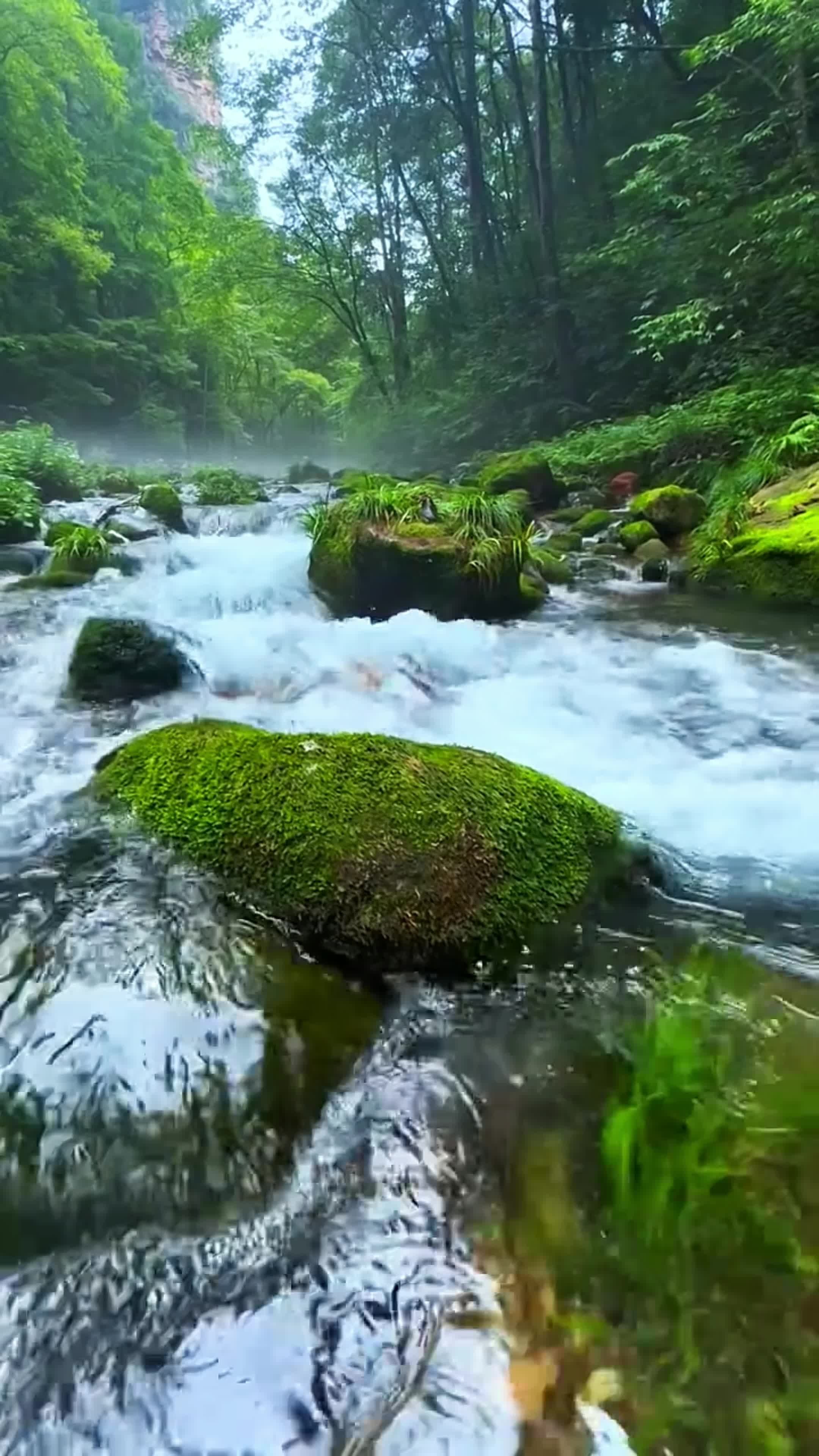 心情舒畅的图片 风景图片