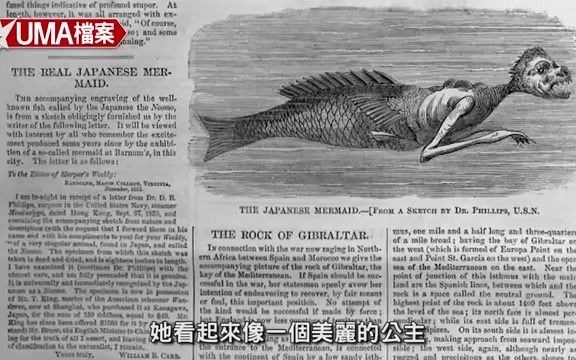[图]【UMA档案】「人鱼」-_人面鱼身，真面目是海底人_美人鱼真的是美人吗