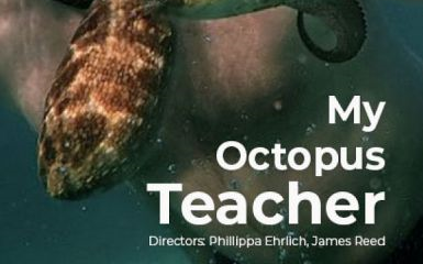 [图]【纪录片】我的章鱼老师My Octopus Teacher（2020）