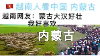 Download Video: 越南人看中国 内蒙古自治区 草原 蒙古大汉 越南网友：是电脑壁纸