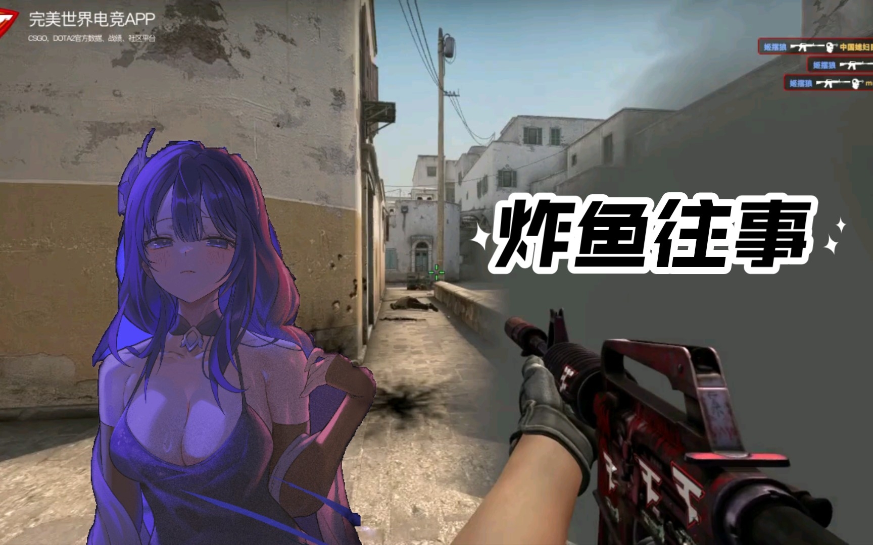 [图][CSGO]警察露胳膊，土匪倒着走