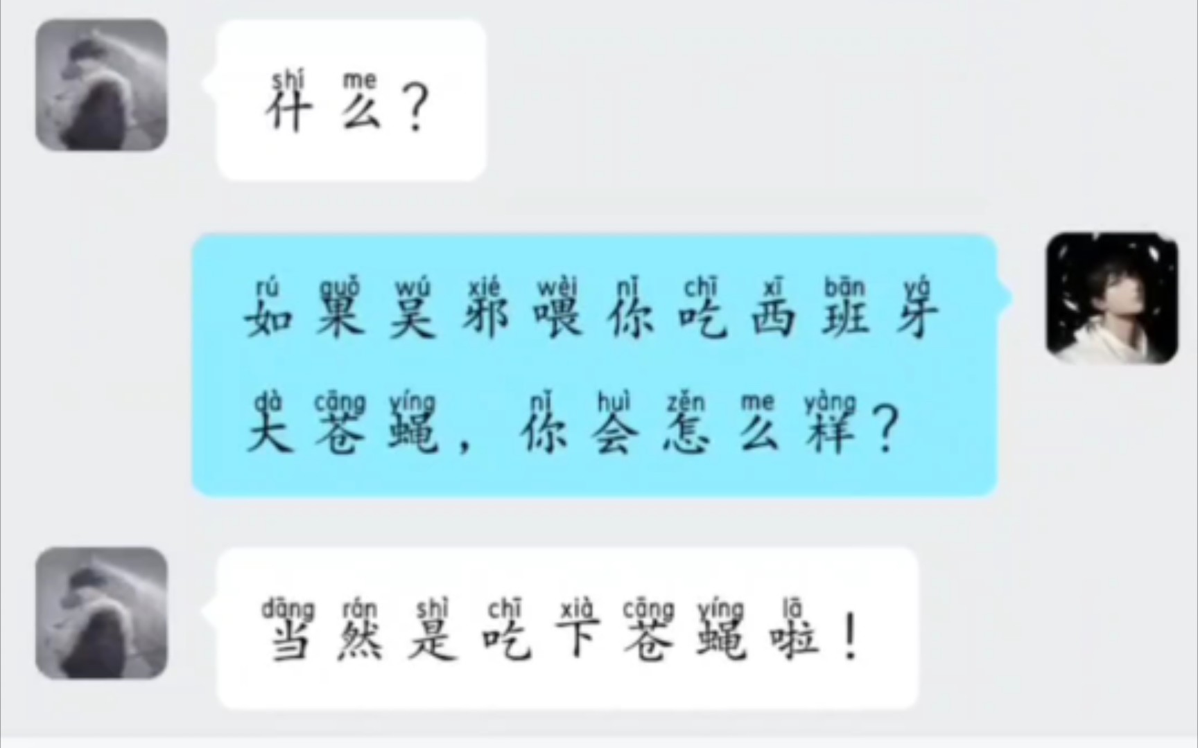 西班牙大苍蝇哔哩哔哩bilibili