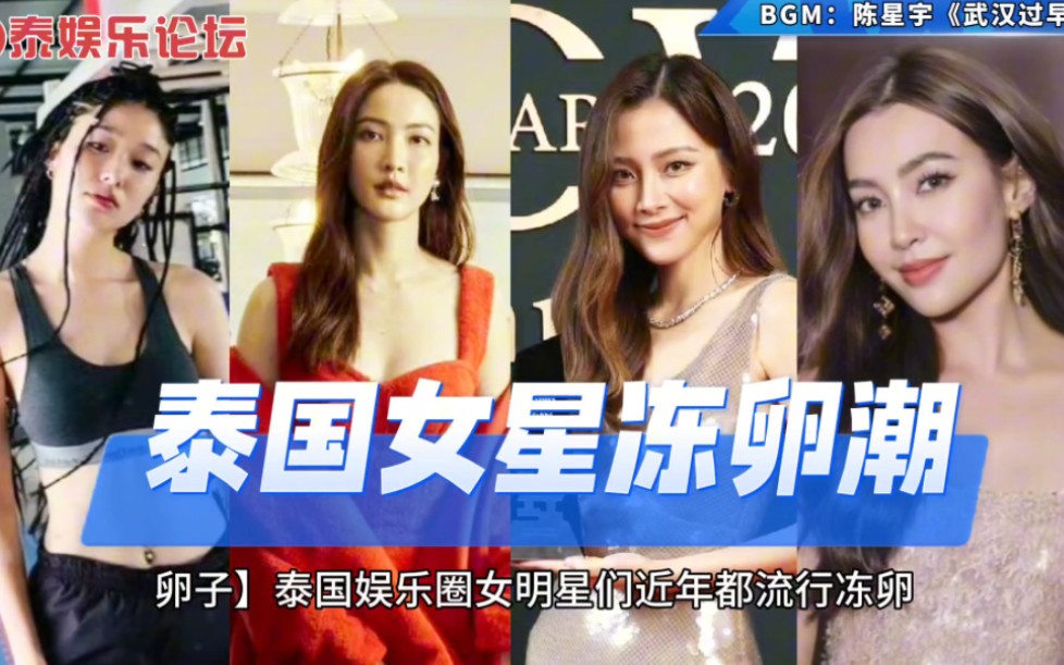 你正在追的泰国泰剧 泰国娱乐圈女明星流行冻卵:泰剧天生一对女演北