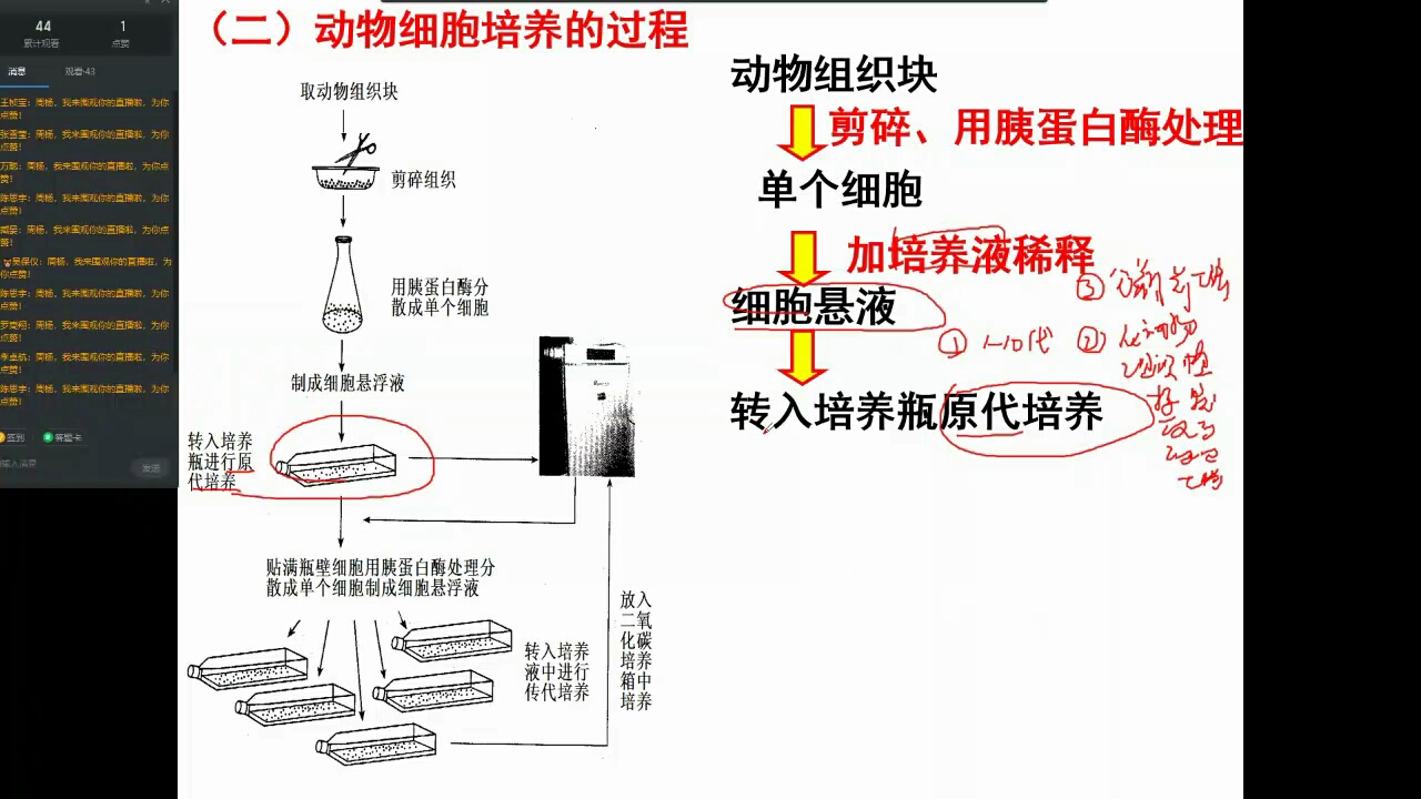 动物细胞培养1哔哩哔哩bilibili