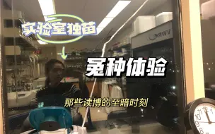 Download Video: 实验室独苗是什么样的冤种体验？｜美国读博的那些至暗时刻