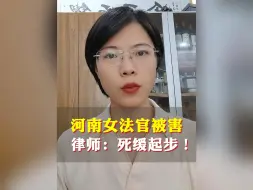 Download Video: 20240813河南女法官被害律师：死缓起步！