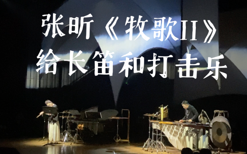 【长笛与打击乐】张昕《牧歌ii》 长笛:刘宗琴 打击乐:徐老师_哔哩