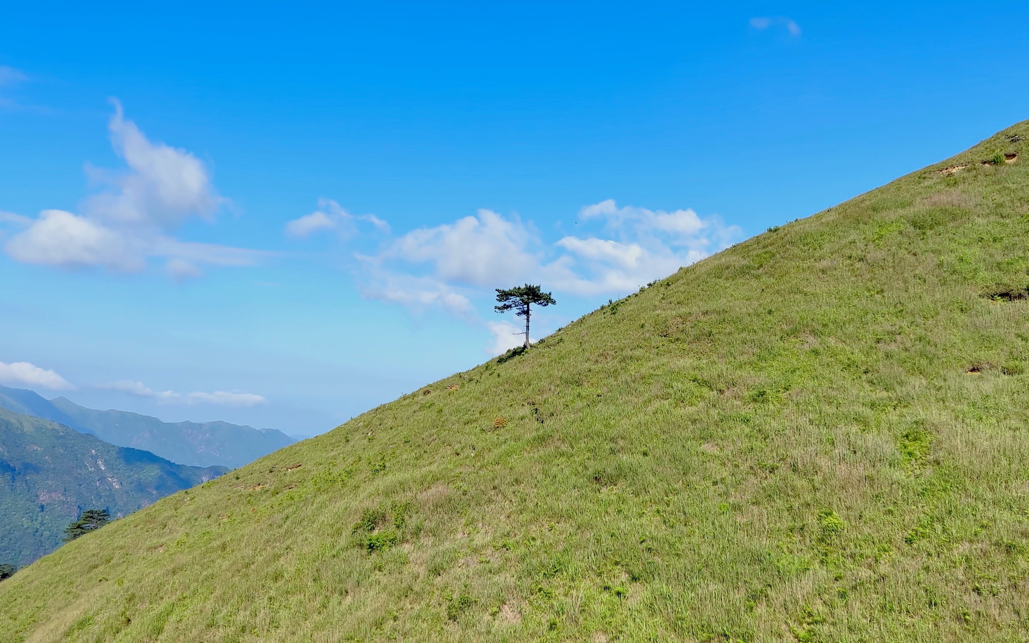 绿色武功山,星空云海,日出日落,高山草甸,遇上的都遇上了