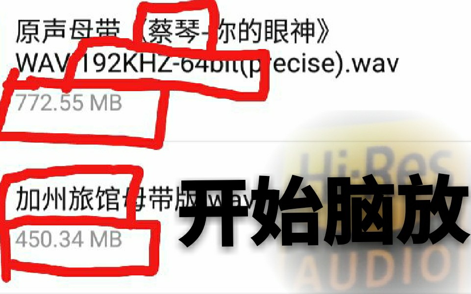 【hires】《蔡琴一你的眼神》《加州旅馆》,手机录屏无损脑放煲机神曲