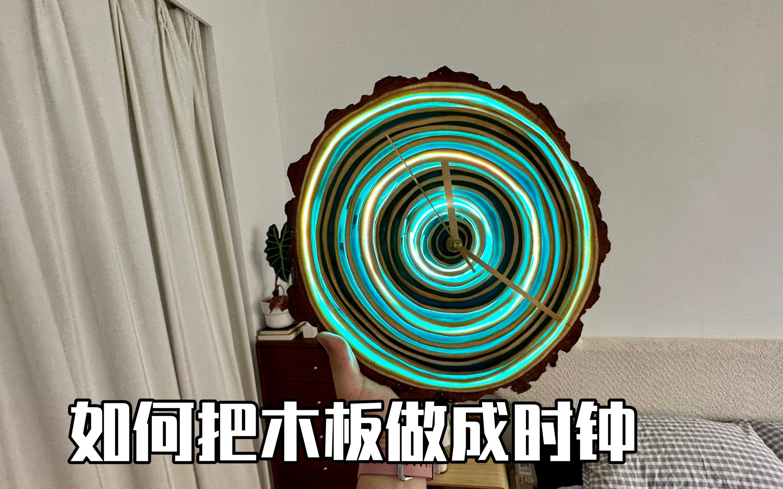 如果时间会有样子,那一圈一圈的年轮就是它最好的记忆