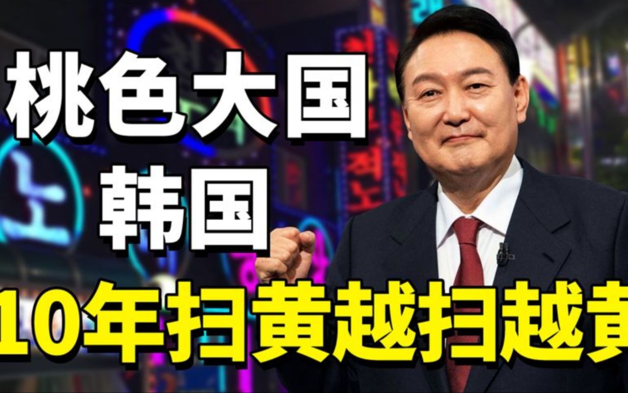 韩国桃色产业力压日本,成亚洲第一,为何10年扫黄越扫越黄?哔哩哔哩bilibili