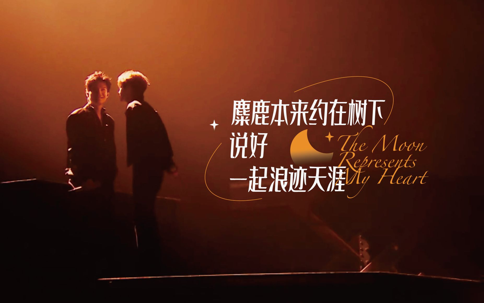 【公子于鑫】悬溺|在动物世界里无数次的爱人错过