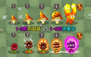 Download Video: 1-5阶烈焰菇VS1-5阶流星花！都是发射陨石的植物，白嫖菇爆虐氪金花？