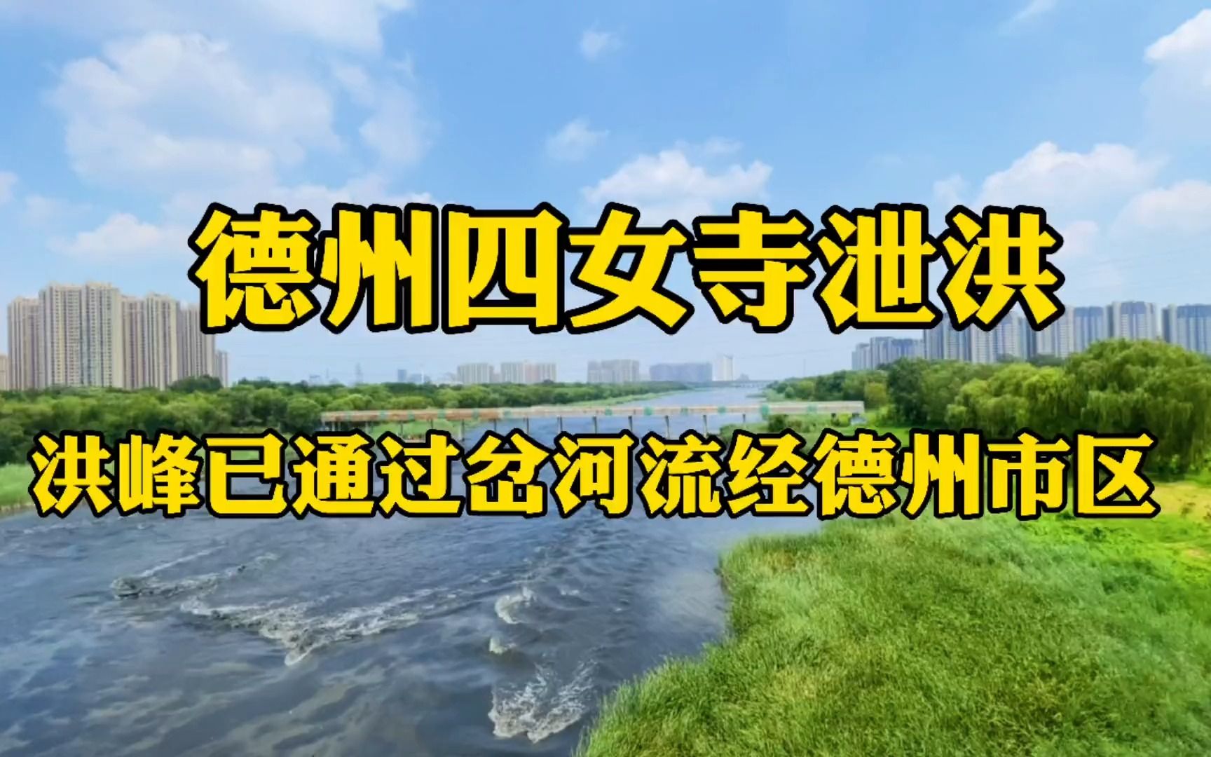 德州四女寺开始泄洪,洪峰已流经德州市区,沿河岸边已做好准备.哔哩哔哩bilibili