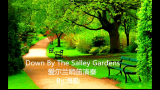 [图]【爱尔兰哨笛演奏】漫步神秘园—《Down By The Salley Gardens》