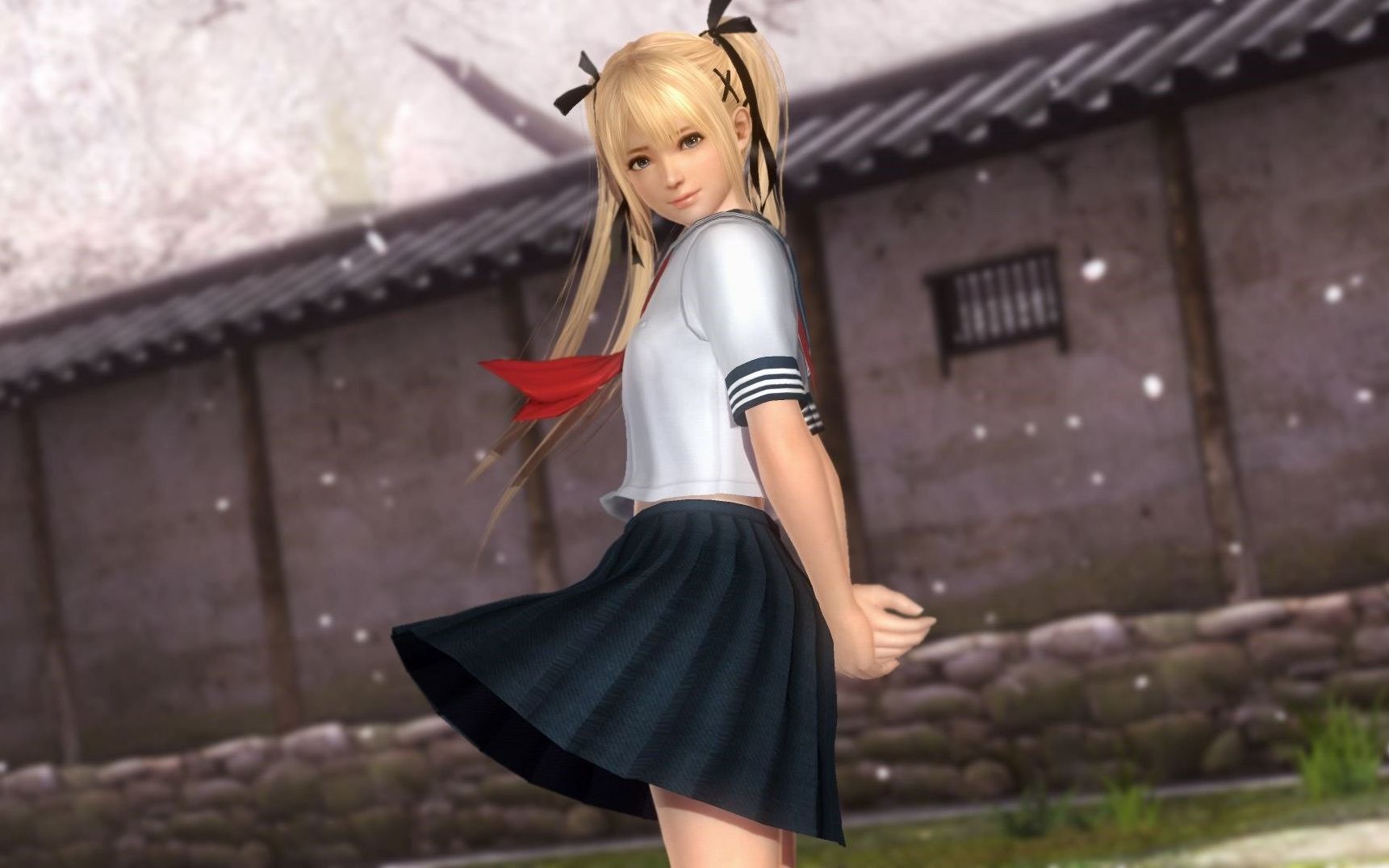 doa6玛丽罗斯——菜鸡被啄