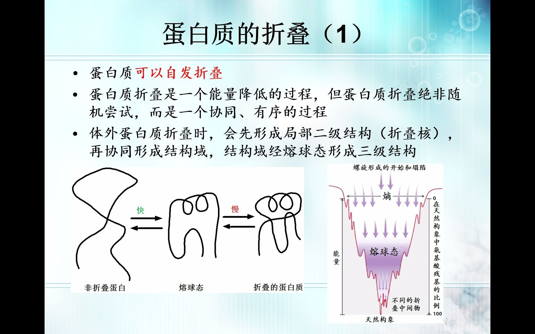 生物竞赛难点25生物化学蛋白质折叠哔哩哔哩bilibili