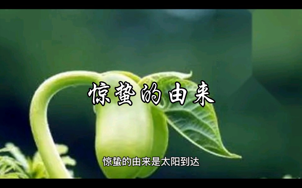 惊蛰的由来哔哩哔哩bilibili