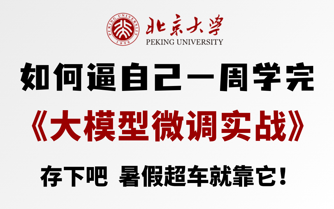 [图]大模型微调实战保姆级入门教程，大模型训练流程及原理及大模型微调容易踩的坑全详解！北大博士半天带你吃透大模型！（人工智能/多模态）