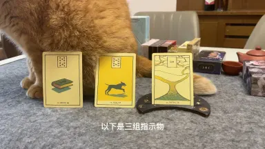 二六二-哔哩哔哩_Bilibili