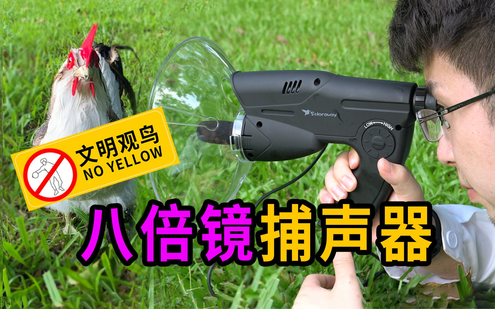 这么多年终于听清窗外的麻雀在多嘴什么了!_哔哩哔哩_bilibili