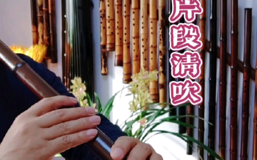 光阴洞箫清吹烟熏老煤竹f调空山箫坊弘扬国乐乐器演奏