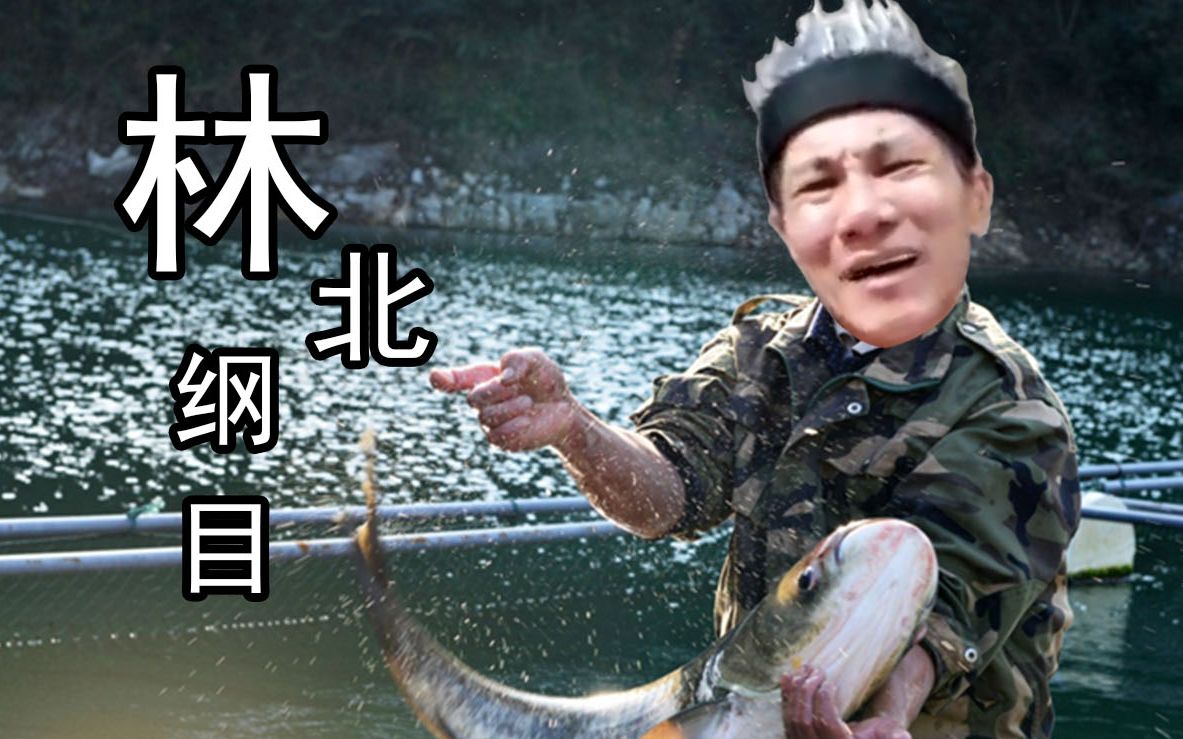 卖鱼哥老年卡卡西的卖鱼生活