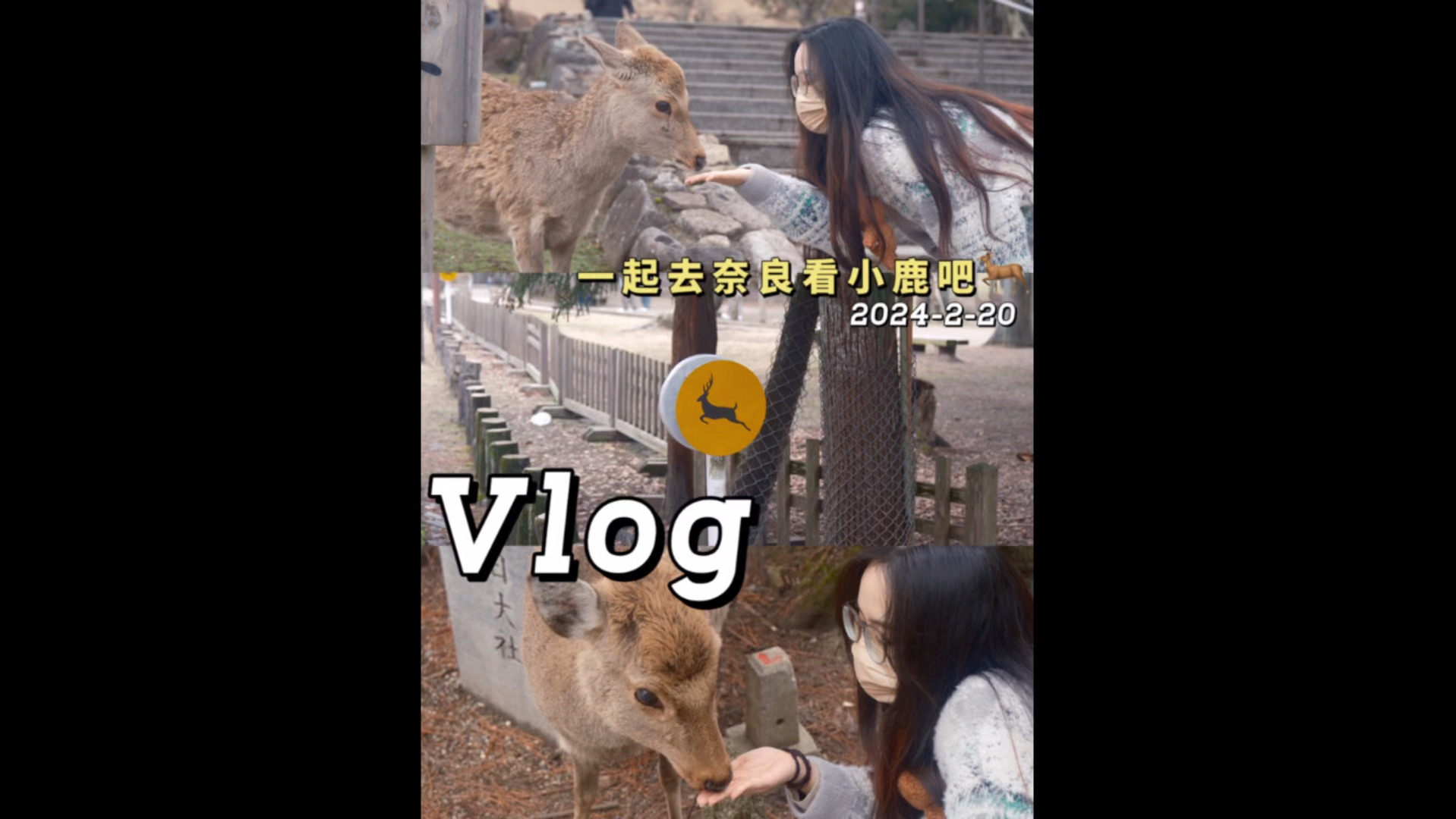 Nara Vlog|被奈良的小鹿可爱晕了哔哩哔哩bilibili