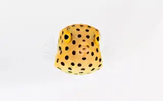 鈴木香里武 搜索结果 哔哩哔哩 Bilibili