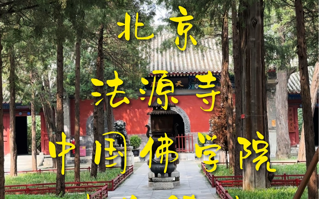 走遍博物館北京法源寺中國佛學院古剎鑄史