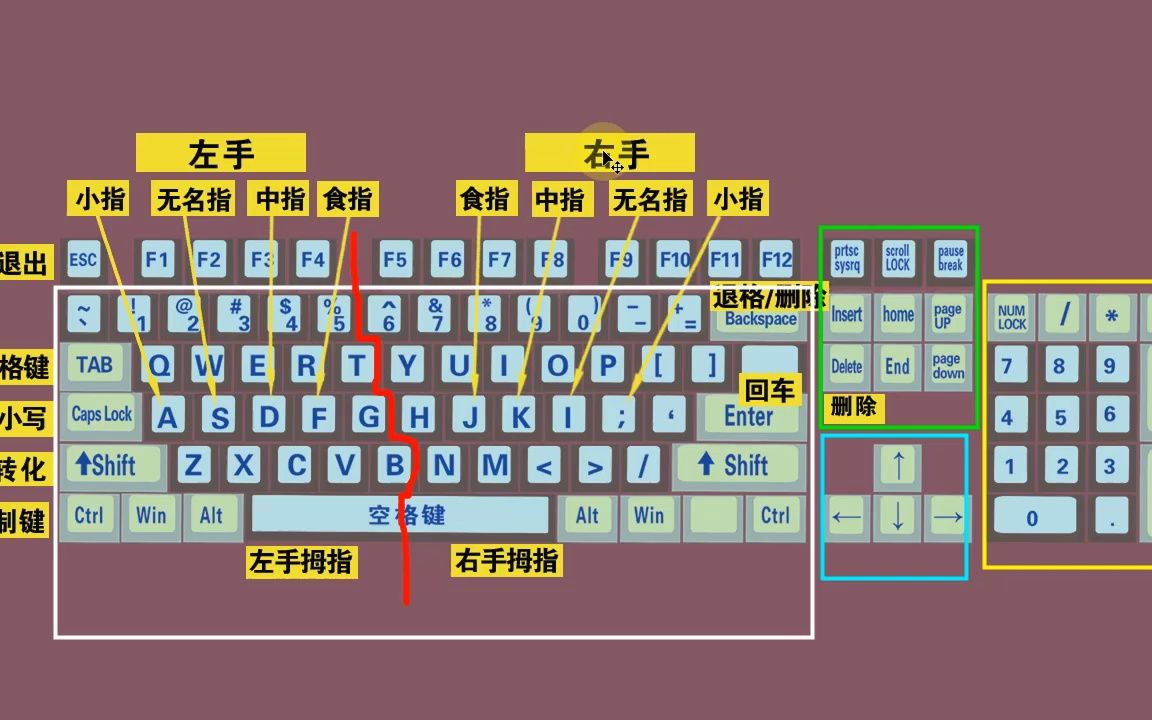 電腦初學者認識鍵盤和鍵盤正確打字方法