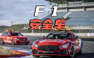 Download Video: F1安全车为何不用F1赛车？